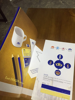 尚将品牌策划作品解析 佛山东龙门业新品画册，如何以视觉叙事赋能品牌升级