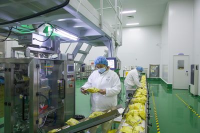 向东台沿海经济区学习 向新而行、向海图强，打造蓝色增长新引擎的品牌策划之道